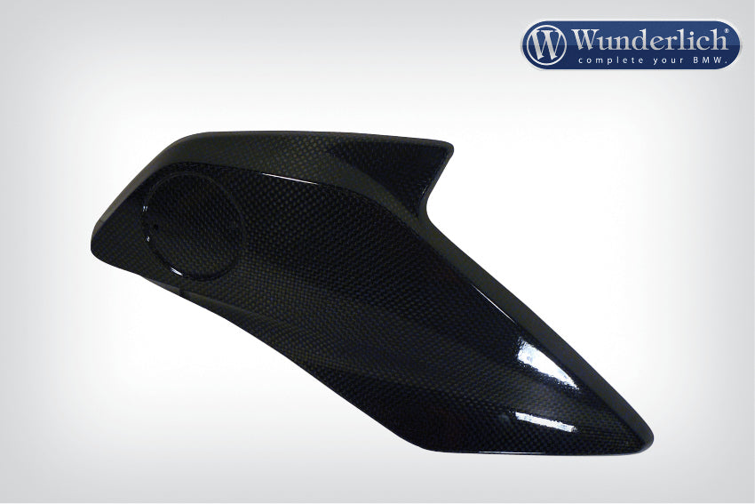 Ilmberger - Radiator Cover (BMW Emblem Carrier) for R 1200 GS LC
