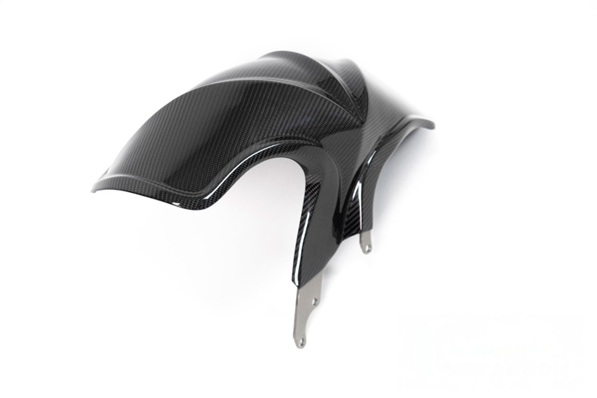 Ilmberger - Fender for R 1250 R/RS