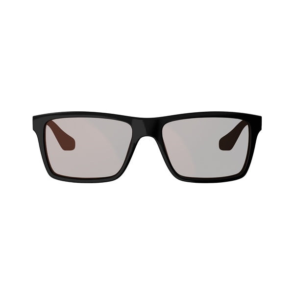 Leatt-SUNGLASSES THEVIZ SIERRA BK/SI BRW/SI 8026013900 6009556579484