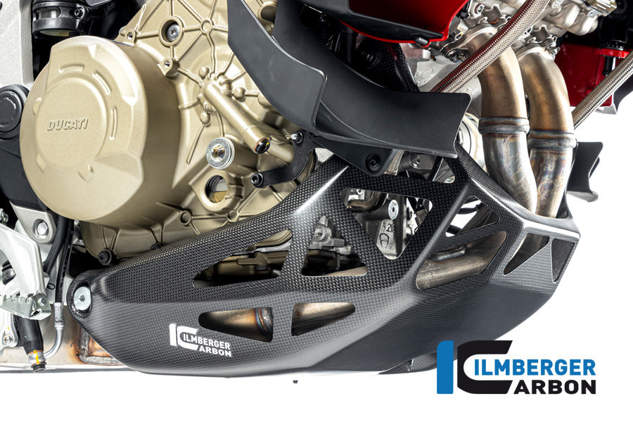 Ilmberger - Engine Protection Multistrada V4
