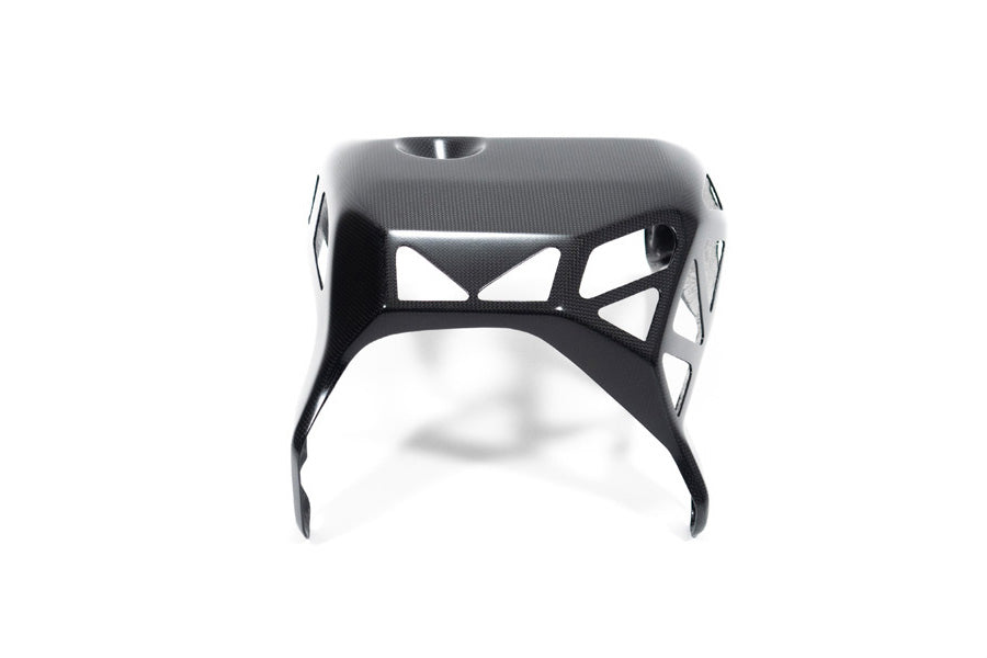 Ilmberger - Engine Protection Multistrada V4