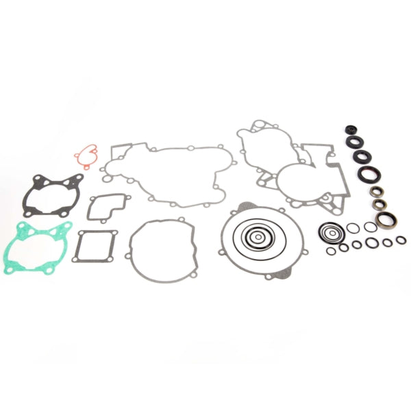 VertexWinderosa - Complete Gasket Set with Oil Seals - 811 (811315)