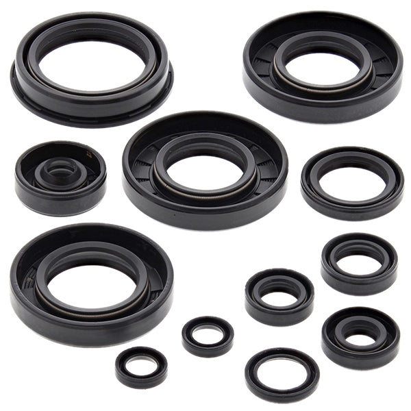 VertexWinderosa - Oil Seal Sets (822252)