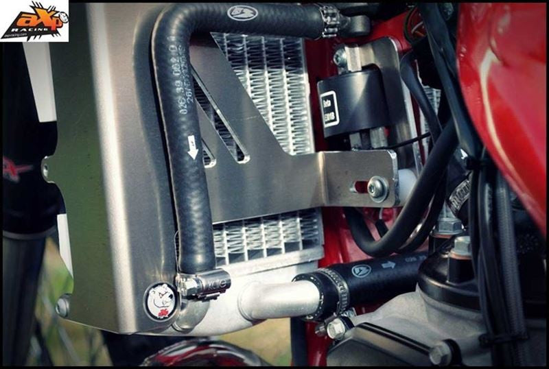 AXP - Radiator Braces  - Fits Beta 250 / 300RR 2014 - 2017 - Red Spacers